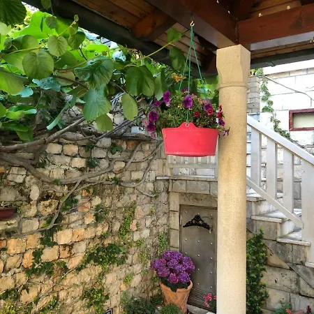 Flower House - Lapad ゲストハウス ドゥブロブニク