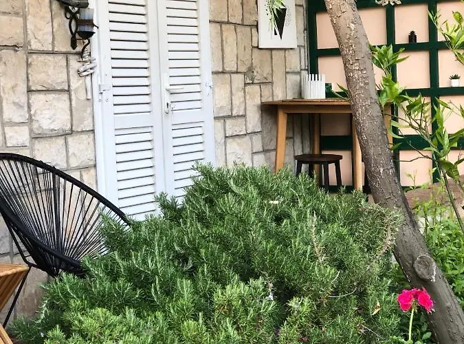 Flower House - Lapad 招待所